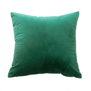 Home Decorative Pillows