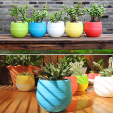 Load image into Gallery viewer, Home Garden Plastic Plant Flower