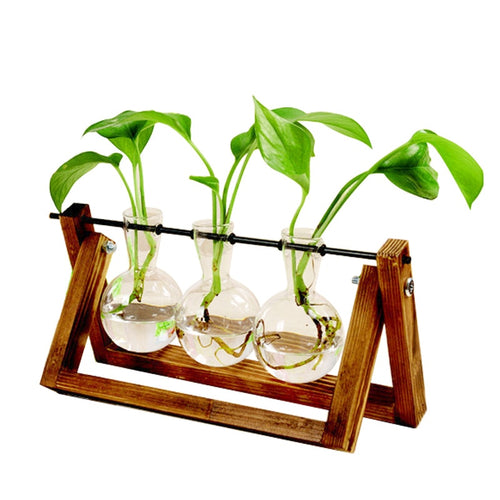 Terrarium Creative Hydroponic Plant  Vase