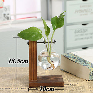 Terrarium Creative Hydroponic Plant  Vase