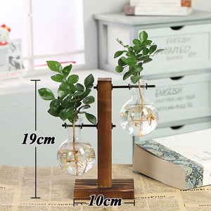 Terrarium Creative Hydroponic Plant  Vase