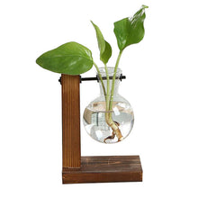Load image into Gallery viewer, Terrarium Hydroponic Plant Vases