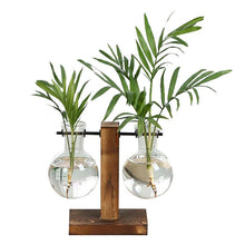 Load image into Gallery viewer, Terrarium Hydroponic Plant Vases